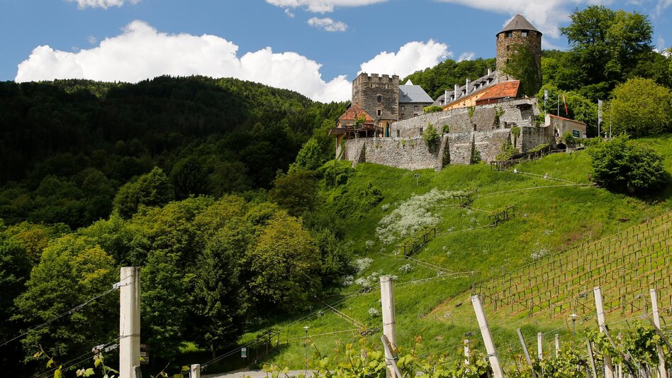 Radfahren Weinland Steiermark Radtour - Durch die 3 Weinbaugebiete im Grünen Herz - Touren-Impression #2.4 | © (c) Steiermark Tourismus/Herbert Raffalt