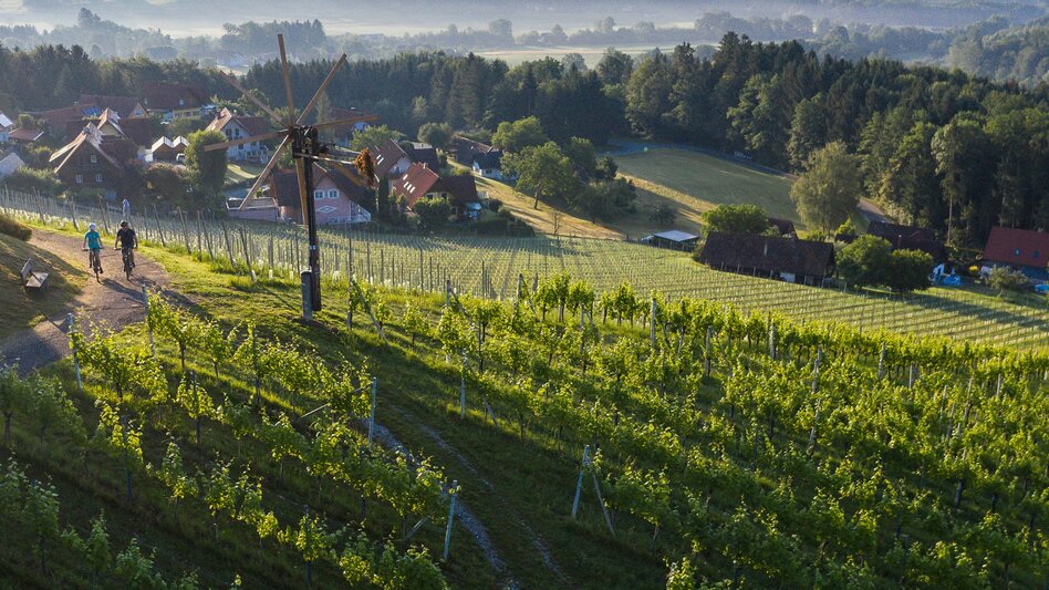 Radfahren Weinland Steiermark Radtour - Durch die 3 Weinbaugebiete im Grünen Herz - Touren-Impression #2.5 | © Schilcherland Steiermark/Velontour