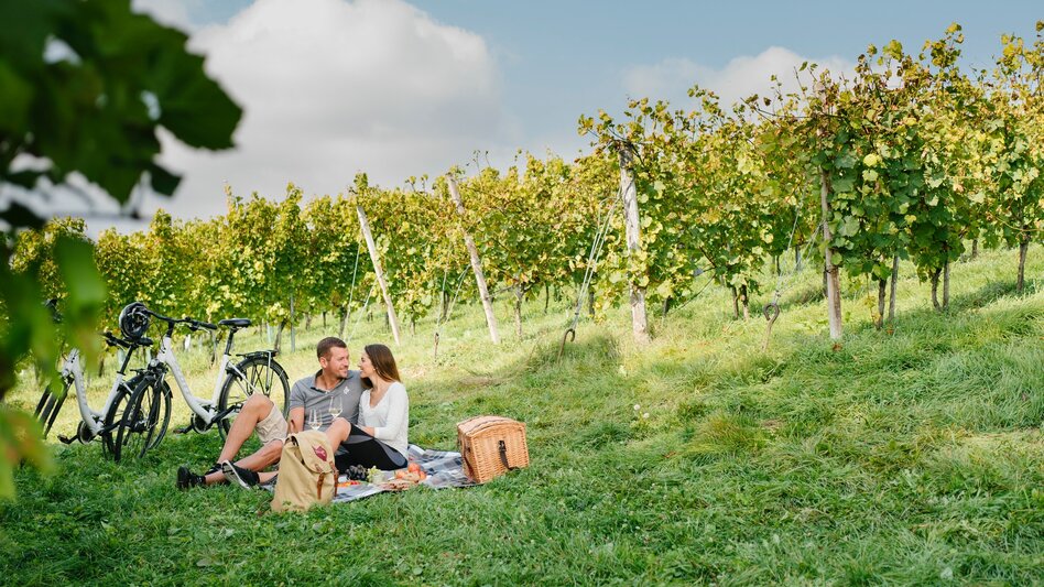 Radfahren Weinland Steiermark Radtour - Durch die 3 Weinbaugebiete im Grünen Herz - Touren-Impression #2.8 | © TV St. Ruprecht an der Raab/Die Mosbacher`s
