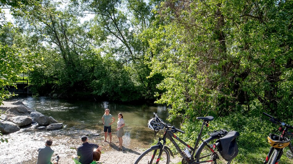 Radfahren Weinland Steiermark Radtour - Durch die 3 Weinbaugebiete im Grünen Herz - Touren-Impression #2.9 | © Steiermark Tourismus/Tom Lamm
