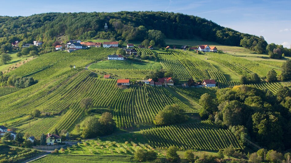 Radfahren Weinland Steiermark Radtour - Durch die 3 Weinbaugebiete im Grünen Herz - Touren-Impression #2.14 | © (c) Steiermark Tourismus/Harry Schiffer