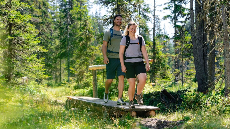Hiking Route Viehbergalm - Miesbodensee - Touren-Impression #2.1 | © Mathäus Gartner
