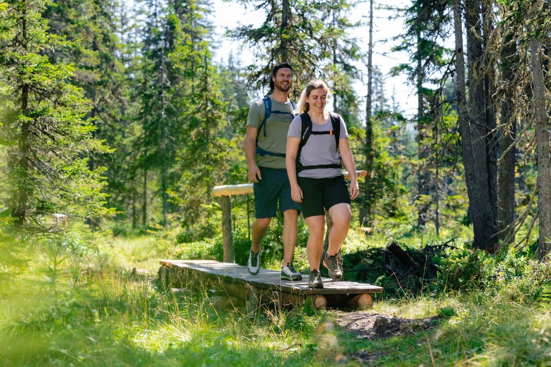 Hiking Route Viehbergalm - Miesbodensee - Touren-Impression #1 | © Mathäus Gartner