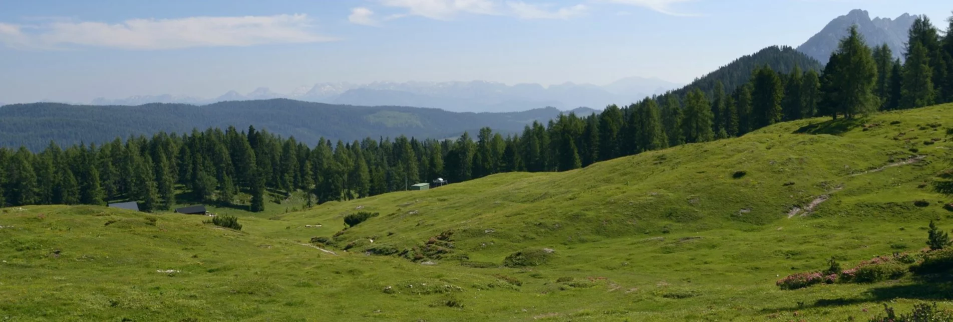 Wanderung Wanderung durch die Notgassen-Schlucht - Touren-Impression #1 | © Erlebnisregion Schladming-Dachstein