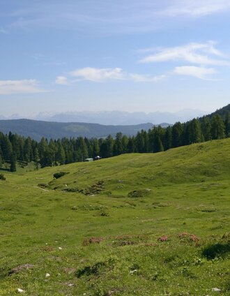 Almlandschaft bei der Notgassen-Schlucht | Schladming Dachstein | © Erlebnisregion Schladming-Dachstein