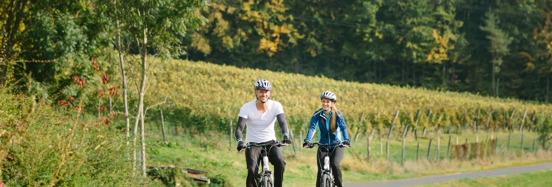 Road Cycling Apfelland Tour - Touren-Impression #1 | © Oststeiermark Tourismus