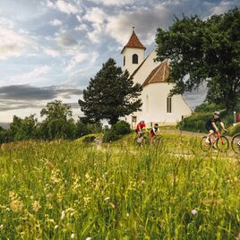 Rennradfahren_Oststeiermark  | © Oststeiermark Tourismus