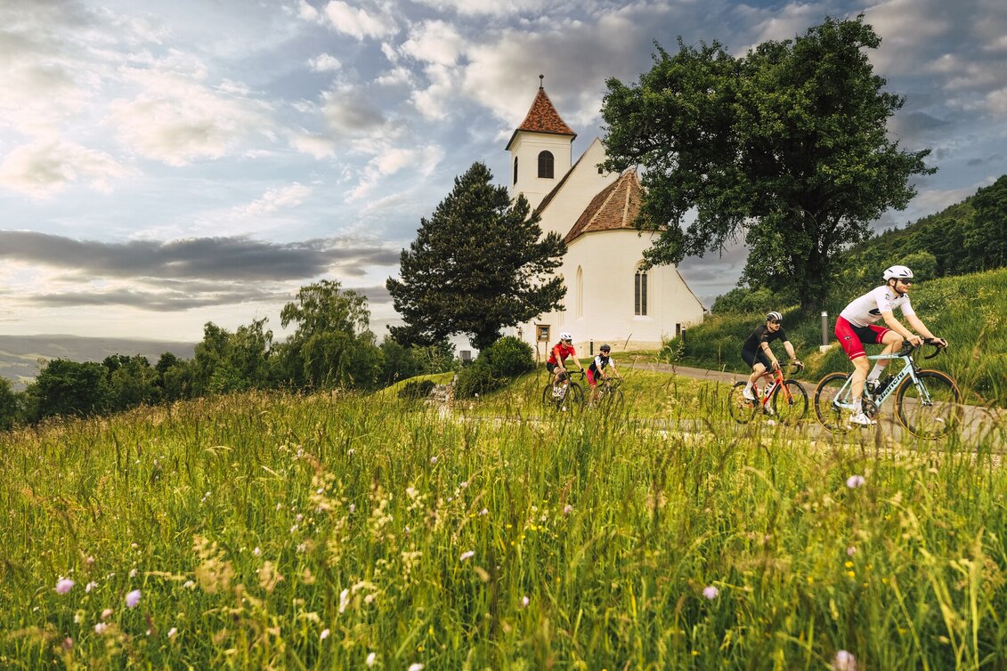 Road Cycling Graz Hills Tour - Touren-Impression #1 | © Oststeiermark Tourismus