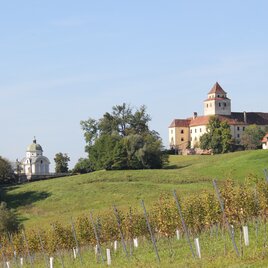 Blick vom Loisium auf Schloss und Mausoleum Ehrenhausen | © TVB Südsteiermark/Ulrike Elsneg