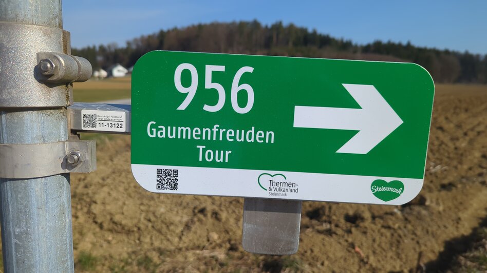 Radfahren Gaumenfreuden-Tour - Touren-Impression #2.2 | © Thermen- & Vulkanland