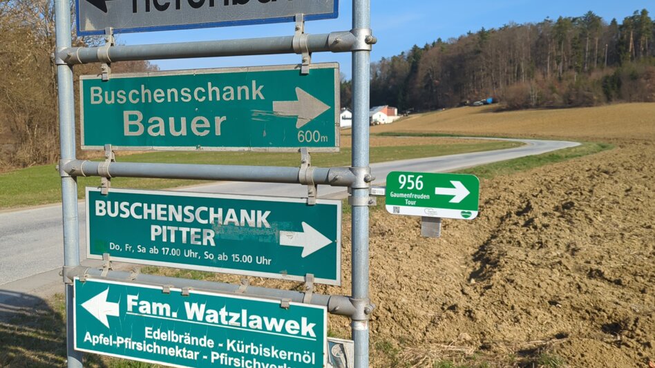 Radfahren Gaumenfreuden-Tour - Touren-Impression #2.10 | © Thermen- & Vulkanland