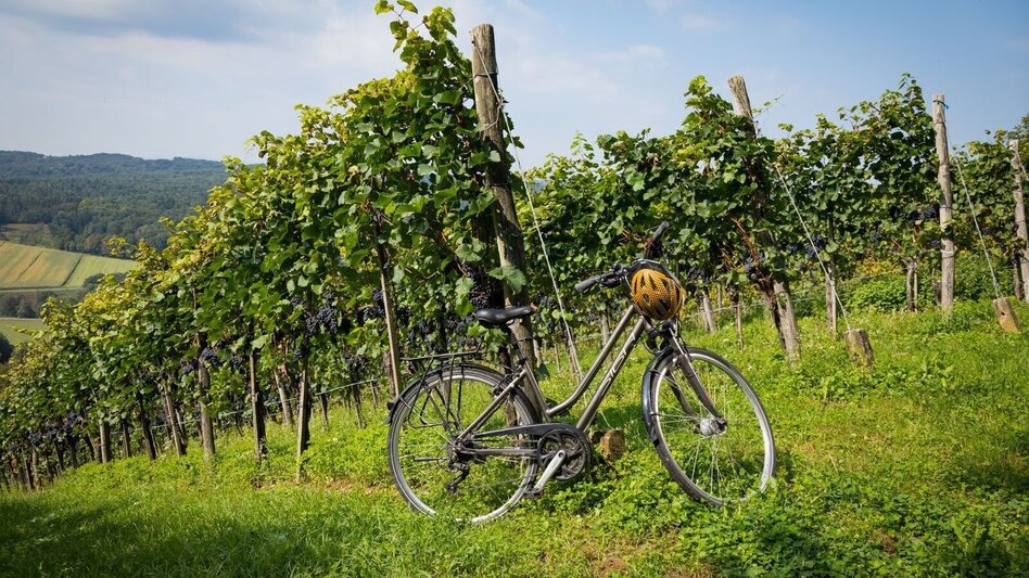 Radfahren Kraftquellen-Tour - Touren-Impression #2.1 | © Thermen- & Vulkanland