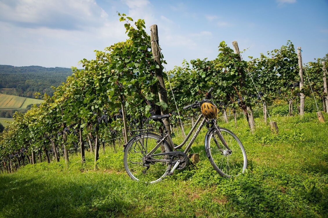 Radfahren Kraftquellen-Tour - Touren-Impression #1 | © Thermen- & Vulkanland