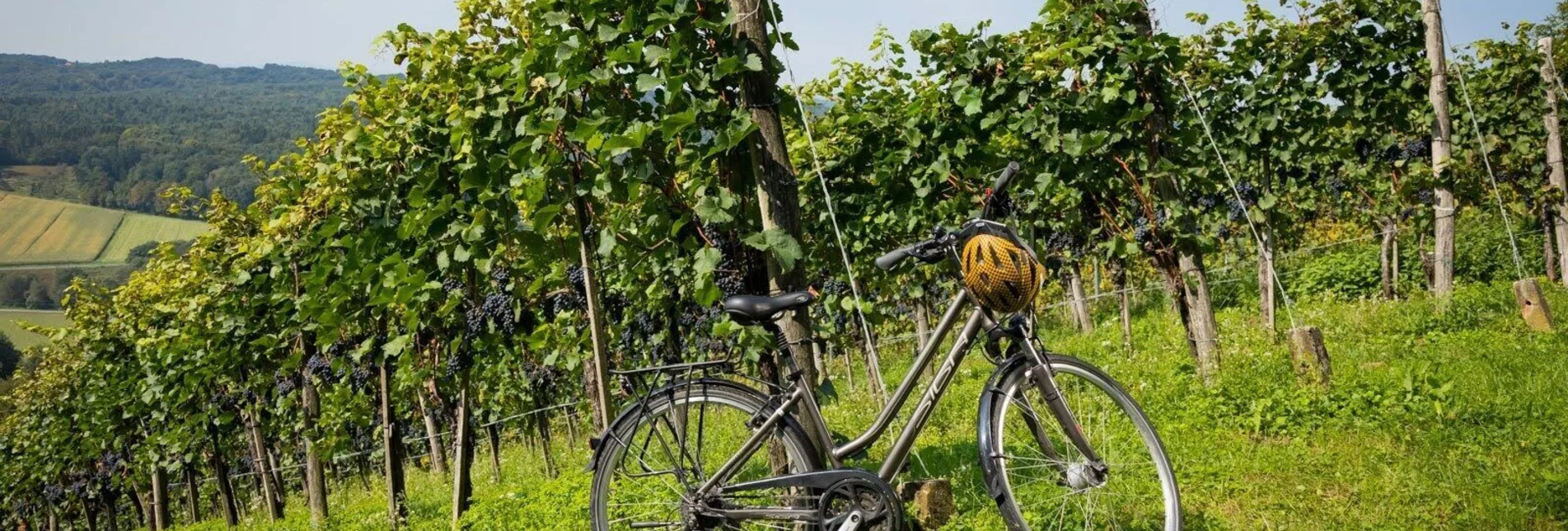 Bike Riding Kraftquellen Tour - Touren-Impression #1 | © Werner Krug