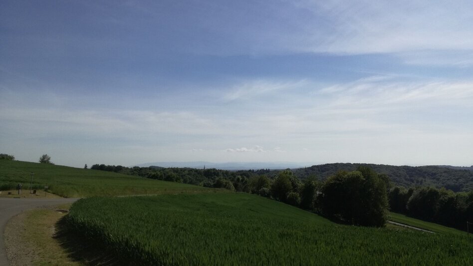 Radfahren Tatschkerland-Tour - Touren-Impression #2.4 | © Thermen- & Vulkanland