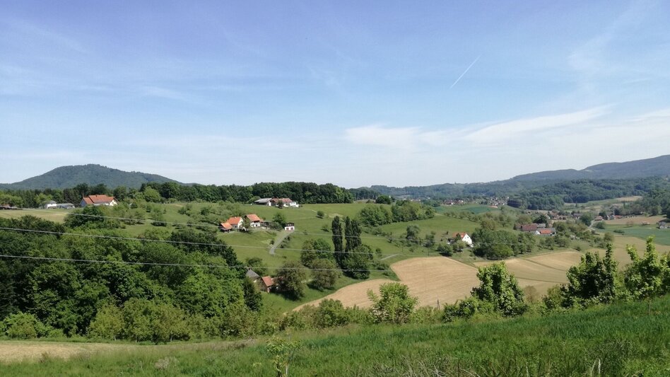 Radfahren Tatschkerland-Tour - Touren-Impression #2.6 | © Thermen- & Vulkanland