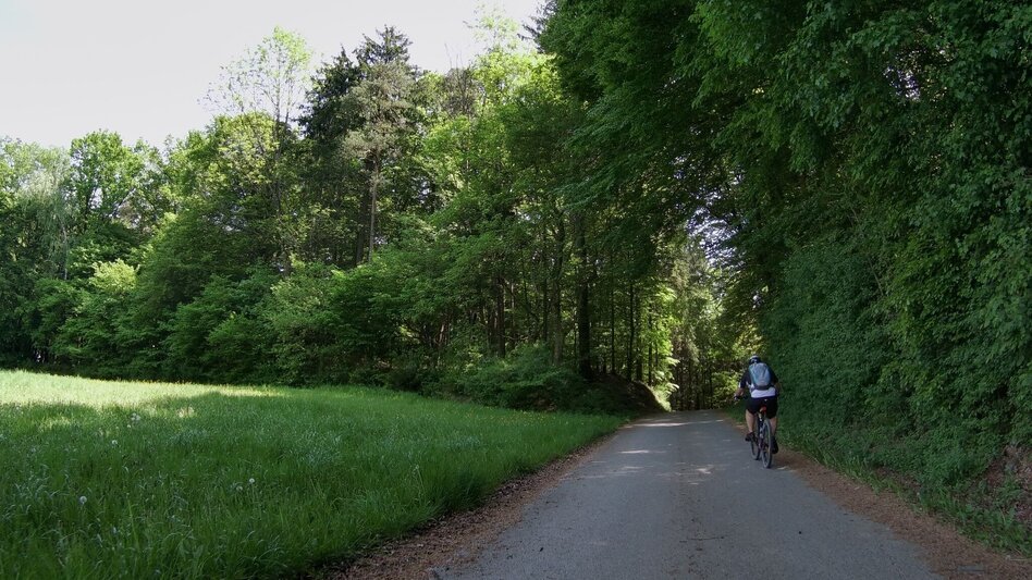 Radfahren Tatschkerland-Tour - Touren-Impression #2.7 | © Thermen- & Vulkanland