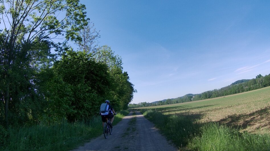 Radfahren Tatschkerland-Tour - Touren-Impression #2.8 | © Thermen- & Vulkanland