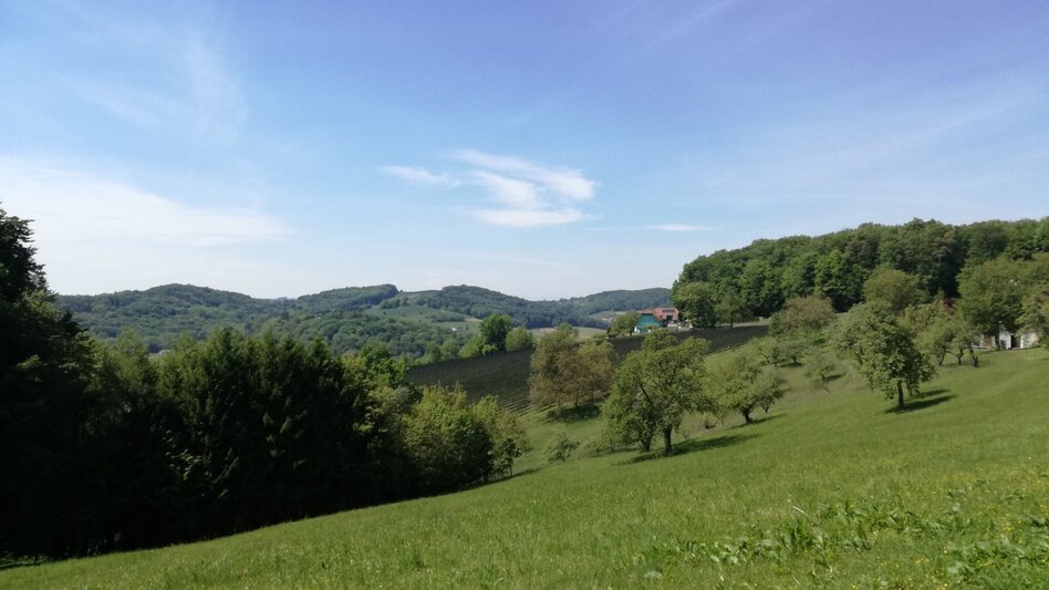 Radfahren Tatschkerland-Tour - Touren-Impression #2.11 | © Thermen- & Vulkanland
