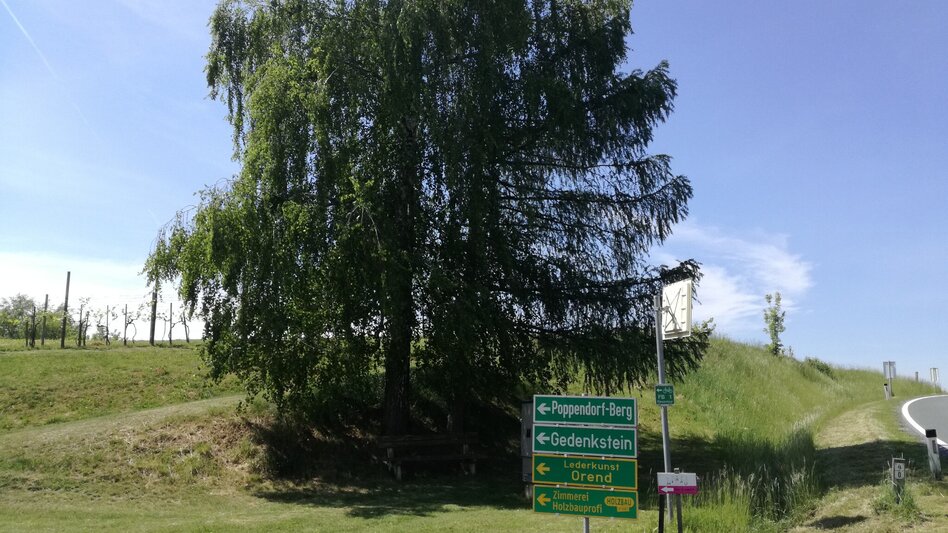 Radfahren Tatschkerland-Tour - Touren-Impression #2.12 | © Thermen- & Vulkanland