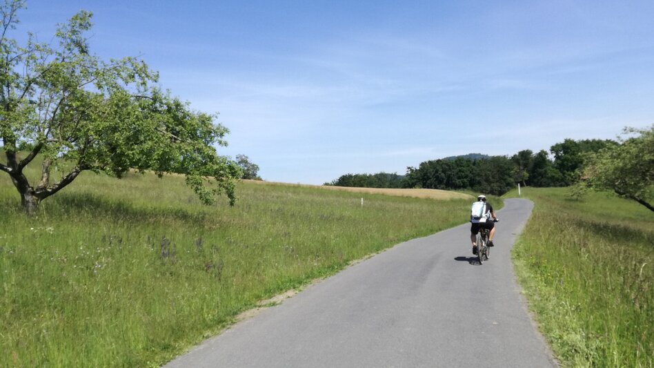 Radfahren Tatschkerland-Tour - Touren-Impression #2.13 | © Thermen- & Vulkanland