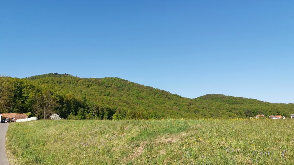Hiking Route Kogel circular trail (Kogelrundweg) - Touren-Impression #2.15 | © Thermen- & Vulkanland