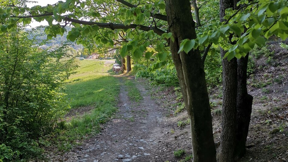 Hiking Route Kogel circular trail (Kogelrundweg) - Touren-Impression #2.18 | © Thermen- & Vulkanland