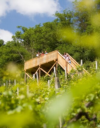 Aussichtsplattform Klöchberg | Harald Eisenberger | © Thermen- & Vulkanland
