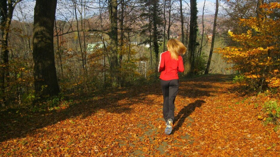Jogging Village run (Dörferlauf) - Touren-Impression #2.2 | © Thermen- & Vulkanland