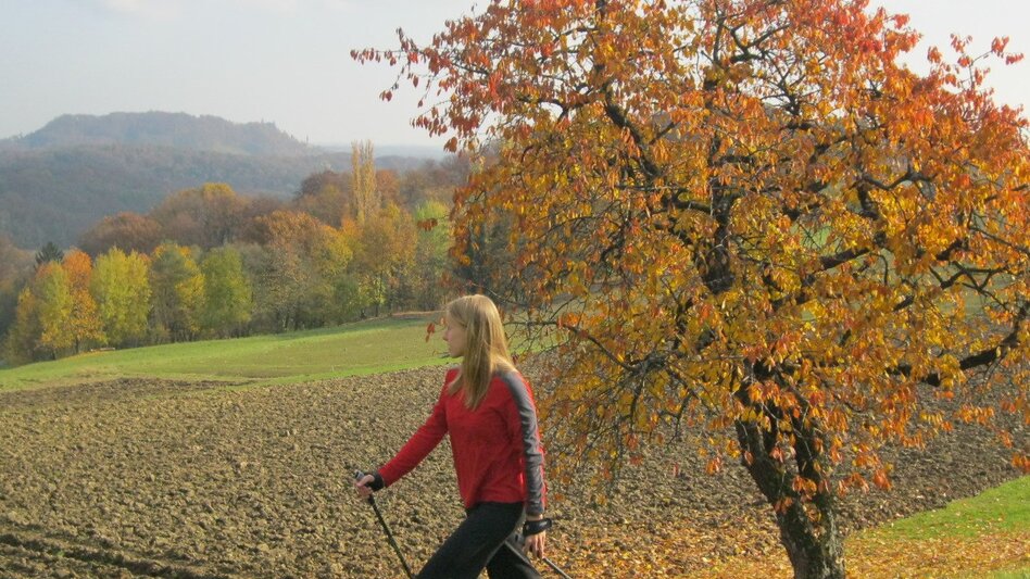 Hiking Route Gossendorf round (Gossendorf Runde) - Touren-Impression #2.1 | © Thermen- & Vulkanland