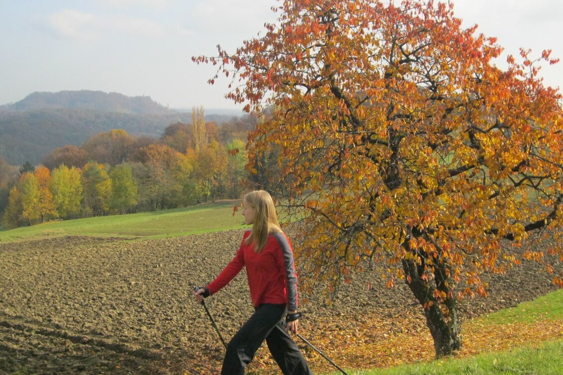 Hiking Route Gossendorf round (Gossendorf Runde) - Touren-Impression #1 | © Thermen- & Vulkanland