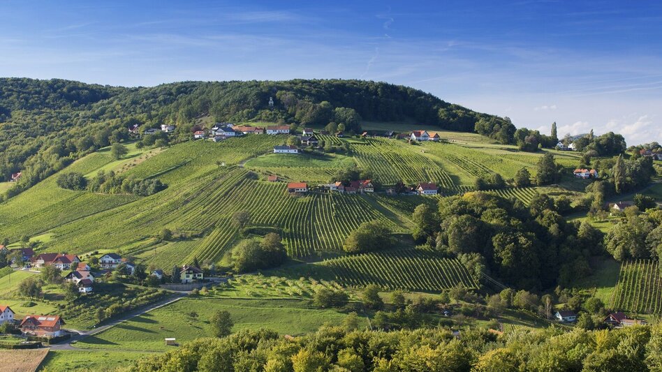 Panoramatouren/Themenstraßen Klöcher Weinstraße - Touren-Impression #2.7 | © Steiermark Tourismus