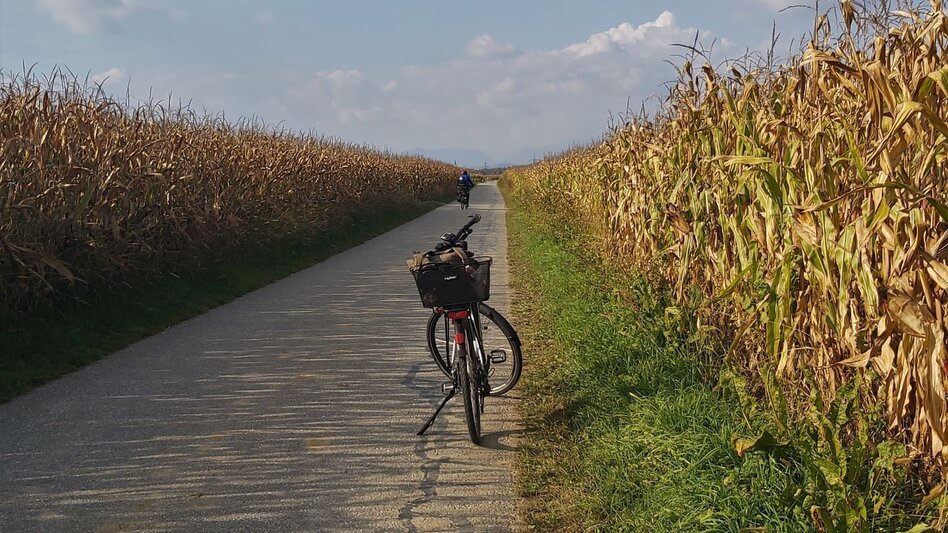 Cycling Sun tour, Gleisdorf - Touren-Impression #2.1 | © Oststeiermark Tourismus