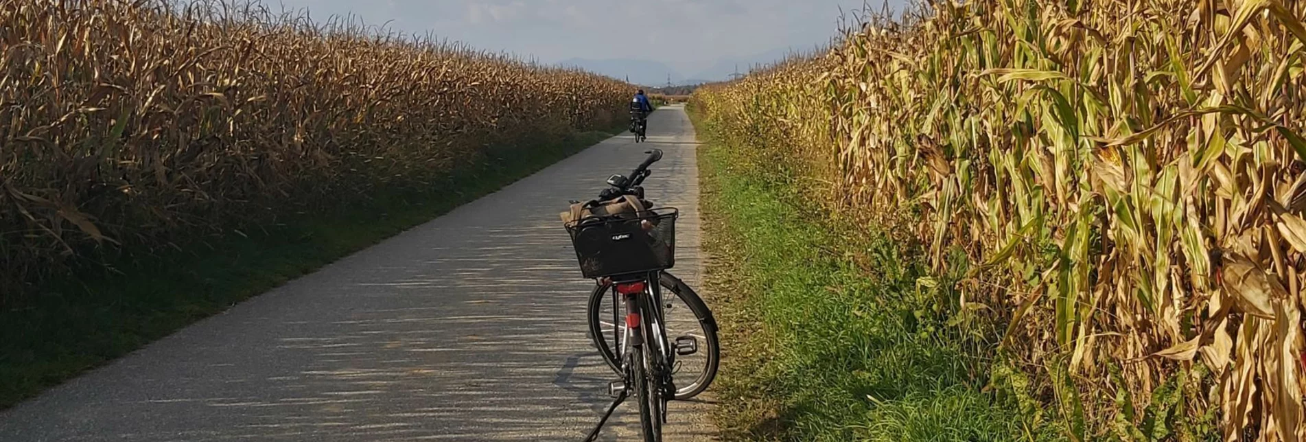 Bike Riding Sun tour, Gleisdorf - Touren-Impression #1 | © Oststeiermark Tourismus