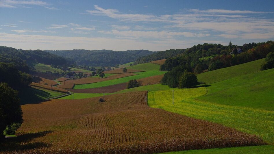 Themen- und Lehrpfad Kreuz & Quer-Pfad - Lange Variante / Weg 9 - Touren-Impression #2.3 | © Thermen- & Vulkanland