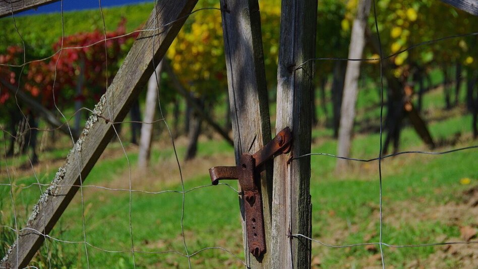 Themen- und Lehrpfad Kreuz & Quer-Pfad - Lange Variante / Weg 9 - Touren-Impression #2.9 | © Thermen- & Vulkanland