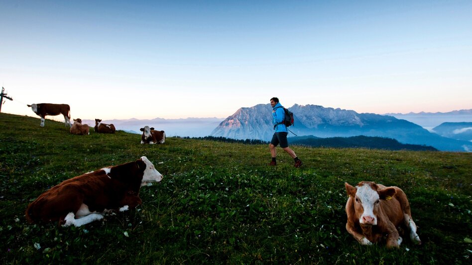 Wanderung Etappe 04 Vom Gletscher zum Wein Nordroute Variante Bad Mitterndorf - Tauplitzalm mit Tauplitz-Sesselbahn - Touren-Impression #2.4 | © TV Ausseerland-Salzkammergut