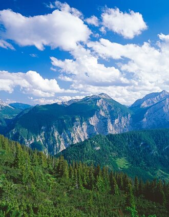 Blick in den Nationalpark Gesäuse | Popp-Hackner | © Steiermark Tourismus/Popp-Hackner