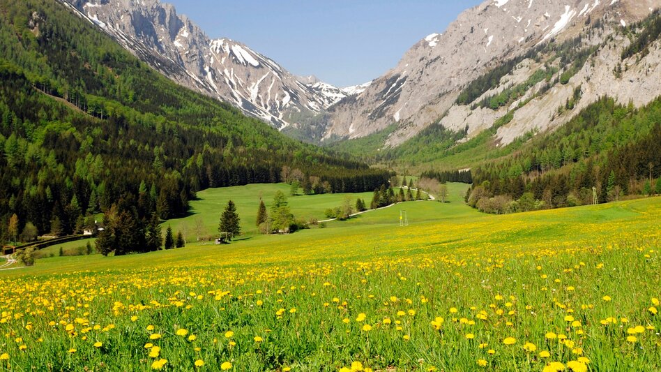 Wanderung Etappe 16 Vom Gletscher zum Wein Nordroute Seewiesen - Veitsch Graf Meran Haus - Touren-Impression #2.3 | © Steiermark Tourismus