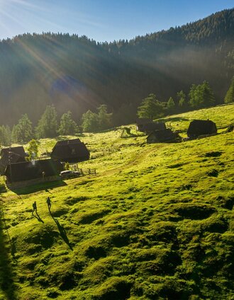 Göriacheralm zwischen Seewiesen und Veitsch | pixelmaker.at | © Steiermark Tourismus