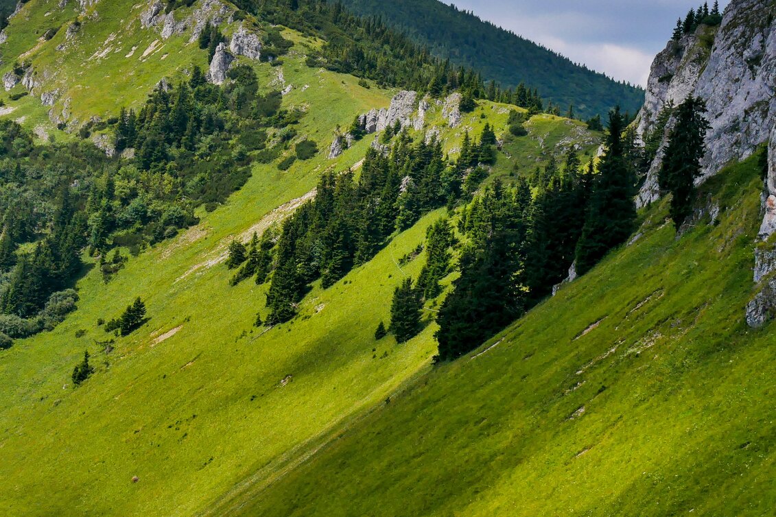 Wanderung Etappe 17 Vom Gletscher zum Wein Nordroute Veitsch Graf Meran Haus - Neuberg an der Mürz - Touren-Impression #1 | © Steiermark Tourismus
