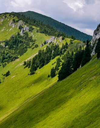 Die grüne Steiermark in den Mürzsteger Alpen | Manfred Polansky | © Steiermark Tourismus