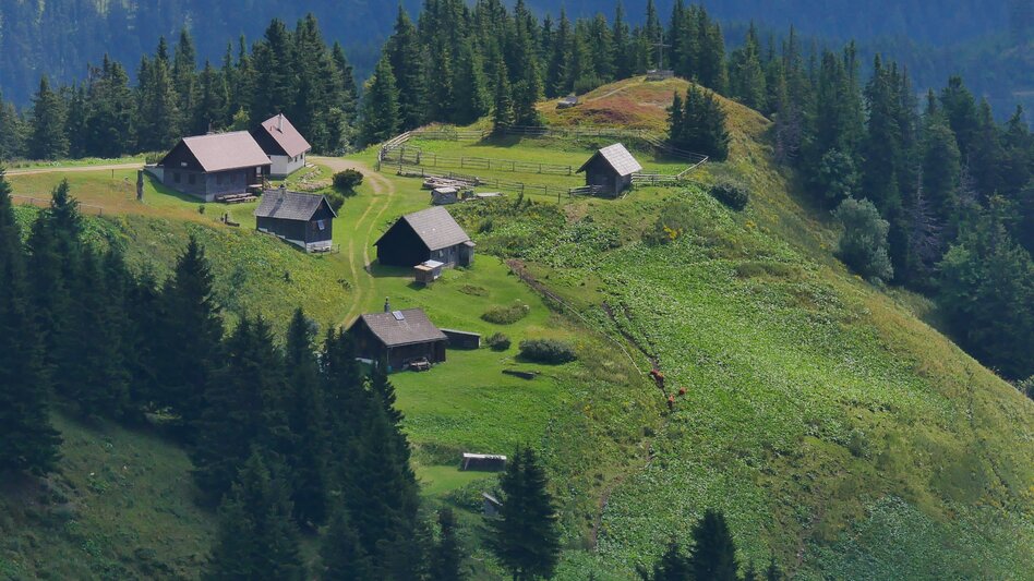 Wanderung Etappe 17 Vom Gletscher zum Wein Nordroute Veitsch Graf Meran Haus - Neuberg an der Mürz - Touren-Impression #2.7 | © Steiermark Tourismus
