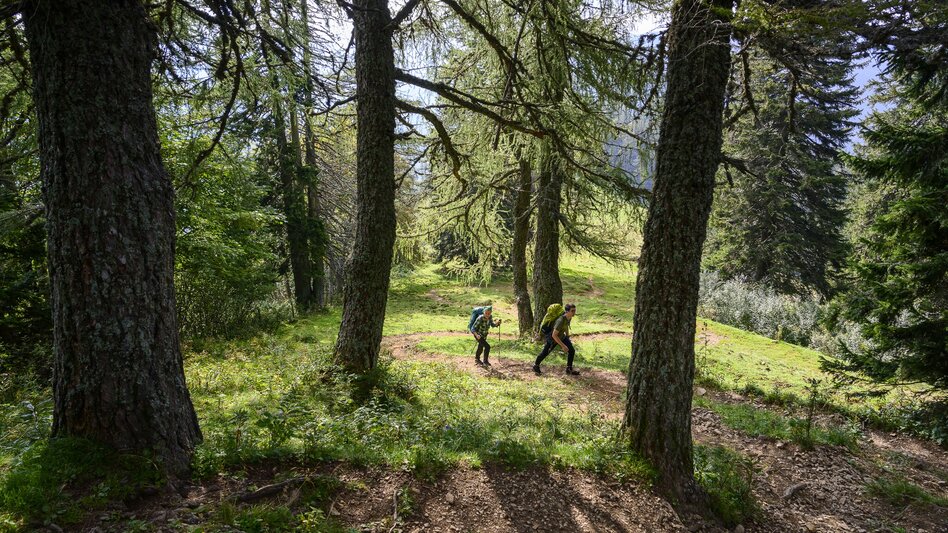 Wanderung Etappe 17 Vom Gletscher zum Wein Nordroute Veitsch Graf Meran Haus - Neuberg an der Mürz - Touren-Impression #2.5 | © Seiermark Tourismus