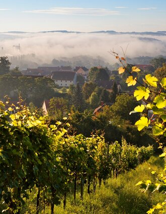 Herbststimmung über Hartberg | Bernhard Bergmann | © TVB Oststeiermark