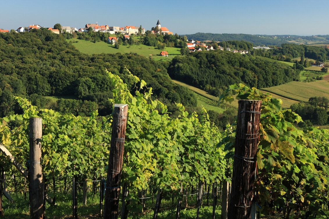 Wanderung Etappe 35 Vom Gletscher zum Wein Nordroute Klöch - Bad Radkersburg - Touren-Impression #1 | © Vino Cool