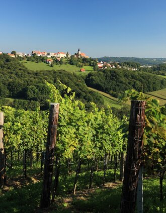 Die Weingärten bei Klöch | Harry Schiffer | © Vino Cool