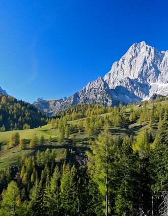 Blick Richtung Dachstein Südwände | Herbert Raffalt | © Steiermark Tourismus