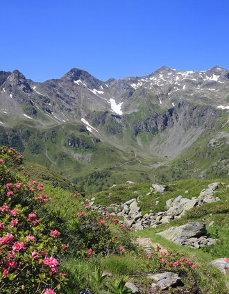 Unterwegs bei der Keinprechthütte | Martin Huber | © TV Schladming-Dachstein