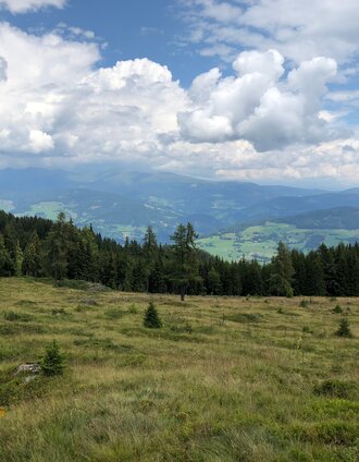 Blick Richtung Murtal | Martina Traisch | © Steiermark Tourismus